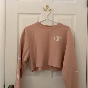 Pink Champion Crop Top - Small